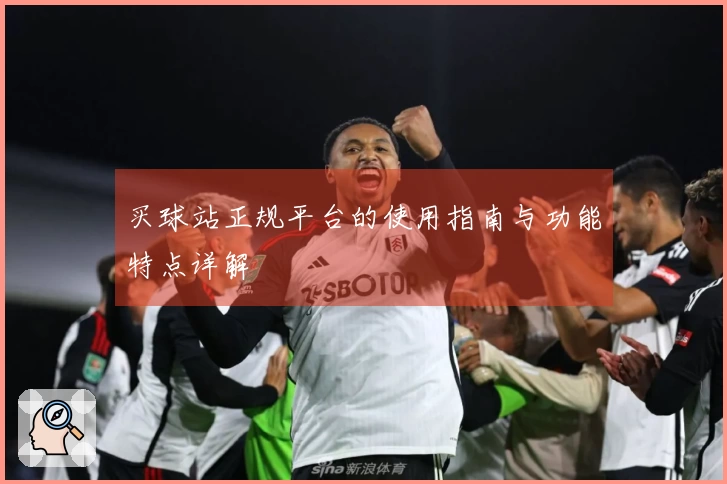 买球站正规平台的使用指南与功能特点详解