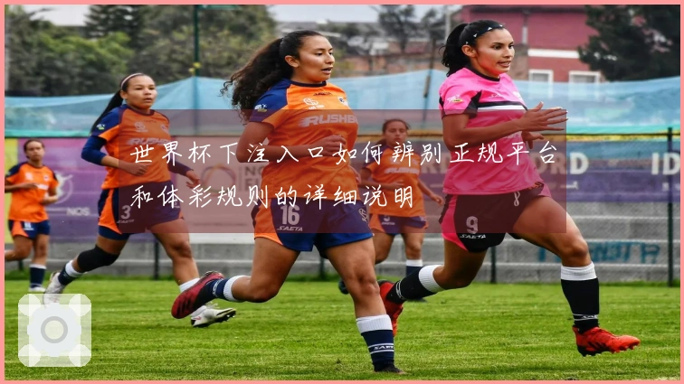 世界杯下注入口如何辨别正规平台和体彩规则的详细说明