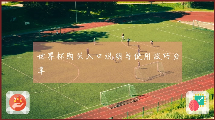 世界杯购买入口说明与使用技巧分享