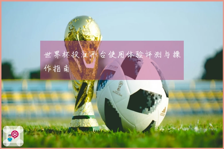 世界杯投注平台使用体验评测与操作指南