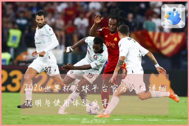 2026世界杯买球平台官方入口详细说明与使用体验分享