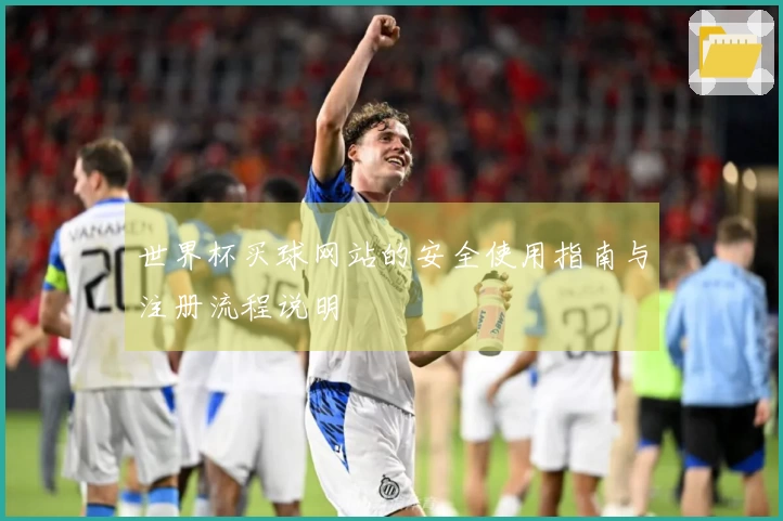 世界杯买球网站的安全使用指南与注册流程说明