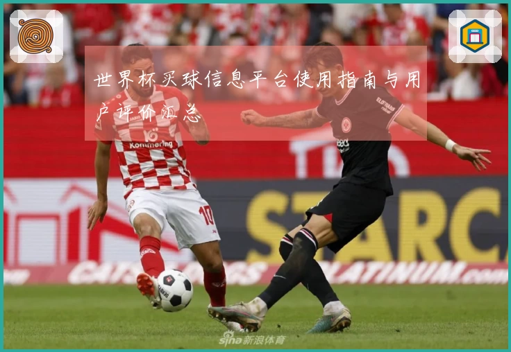 世界杯买球信息平台使用指南与用户评价汇总