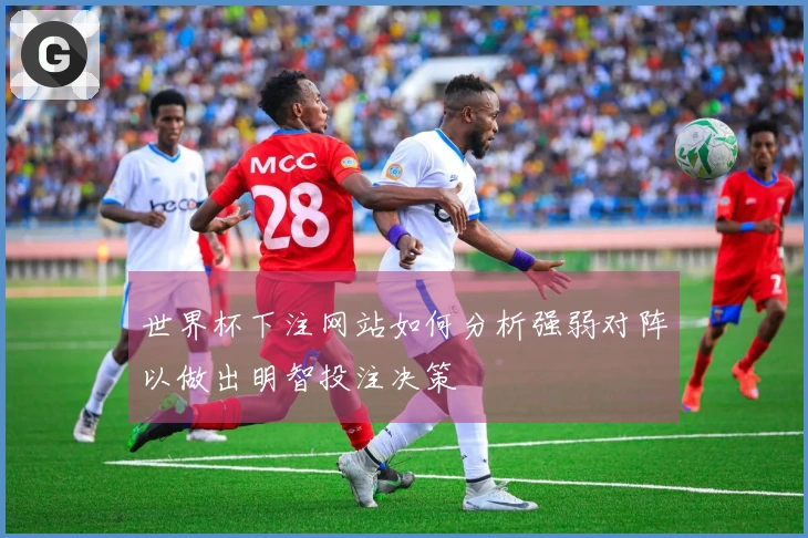 世界杯下注网站如何分析强弱对阵以做出明智投注决策