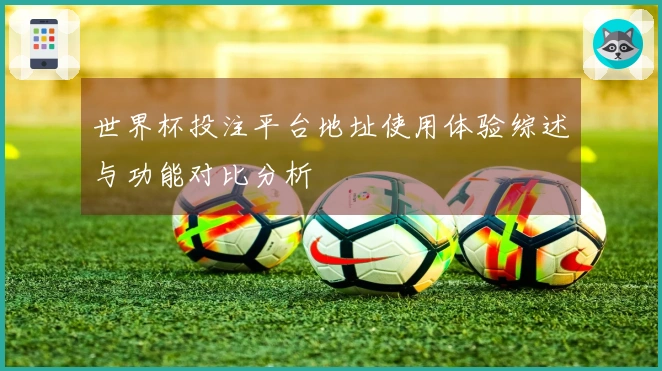 世界杯投注平台地址使用体验综述与功能对比分析