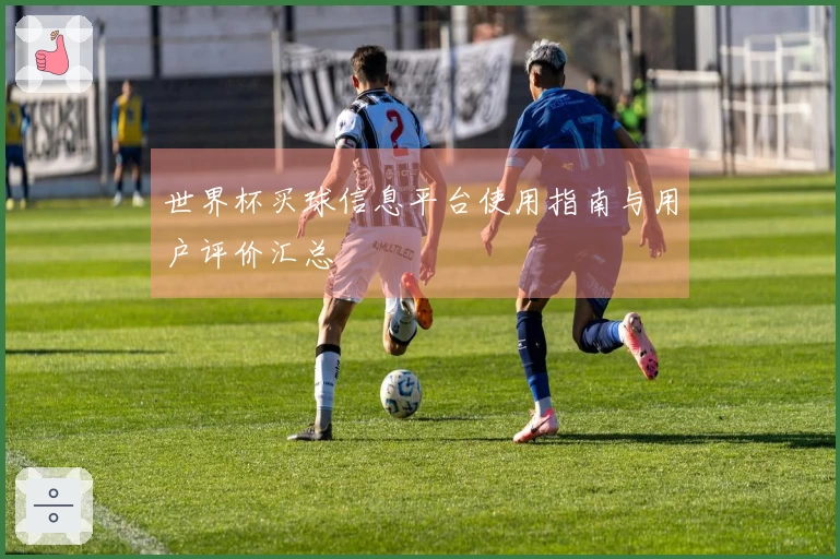 世界杯买球信息平台使用指南与用户评价汇总