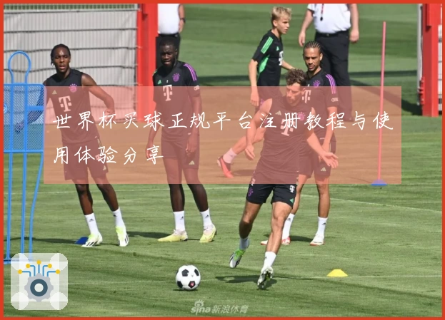 世界杯买球正规平台注册教程与使用体验分享