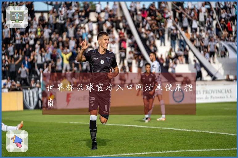 世界杯买球官方入口网址及使用指南