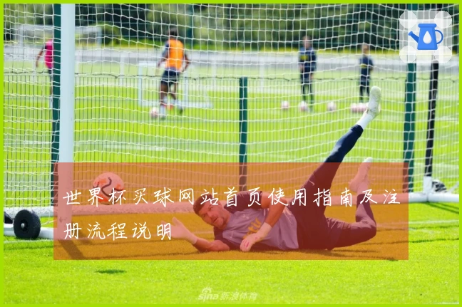 世界杯买球网站首页使用指南及注册流程说明