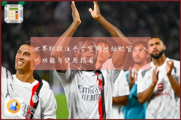 世界杯投注平台官网地址的官方入口功能与使用指南