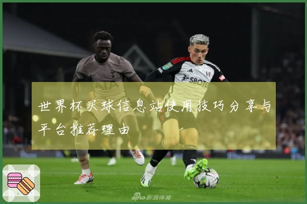 世界杯买球信息站使用技巧分享与平台推荐理由