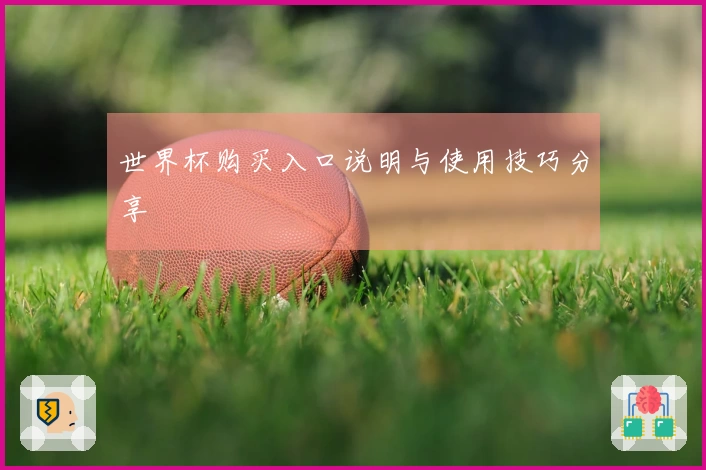 世界杯购买入口说明与使用技巧分享