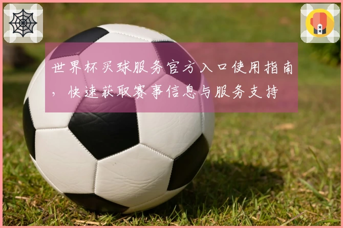 世界杯买球服务官方入口使用指南，快速获取赛事信息与服务支持