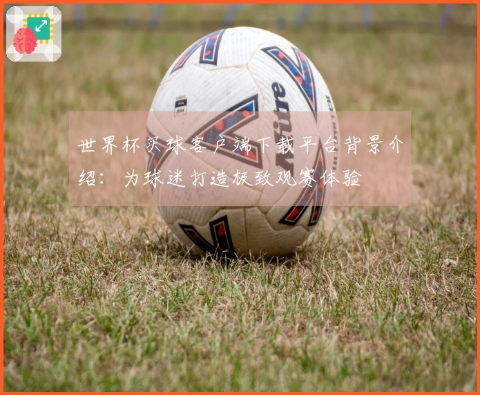 世界杯买球客户端下载平台背景介绍:为球迷打造极致观赛体验