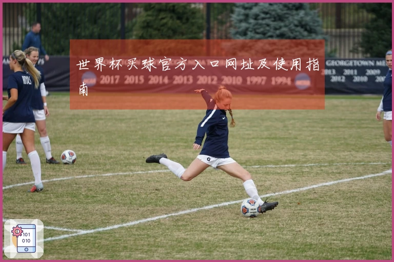 世界杯买球官方入口网址及使用指南