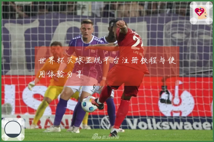 世界杯买球正规平台注册教程与使用体验分享