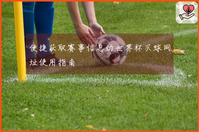 便捷获取赛事信息的世界杯买球网址使用指南